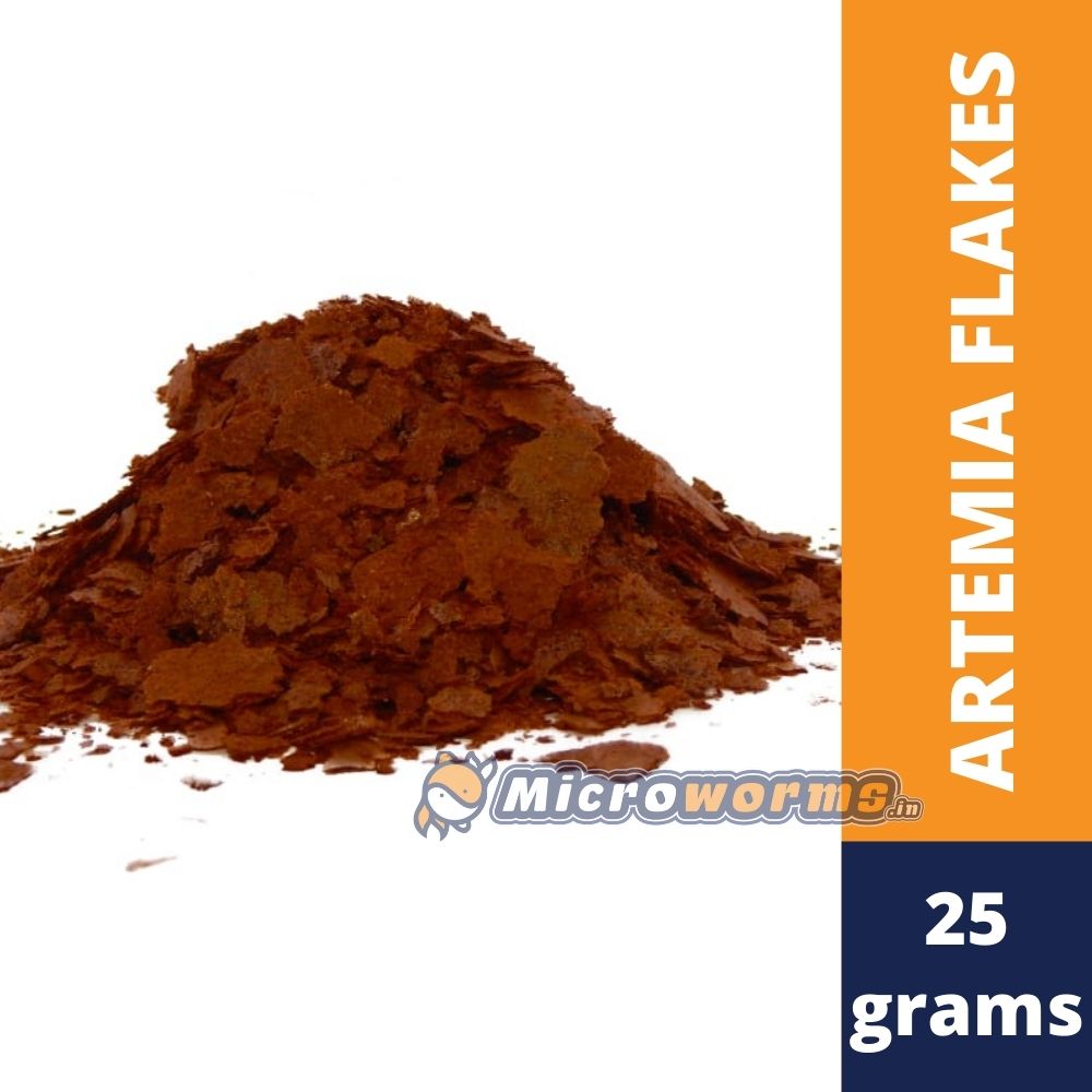 Artemia fish food top