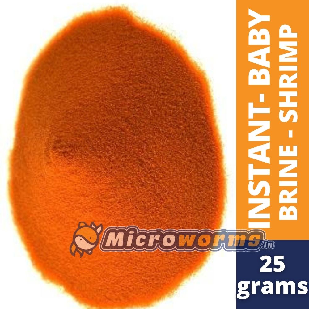 Buy Instant Direct feed Baby Brine Shrimp at lowest price in India