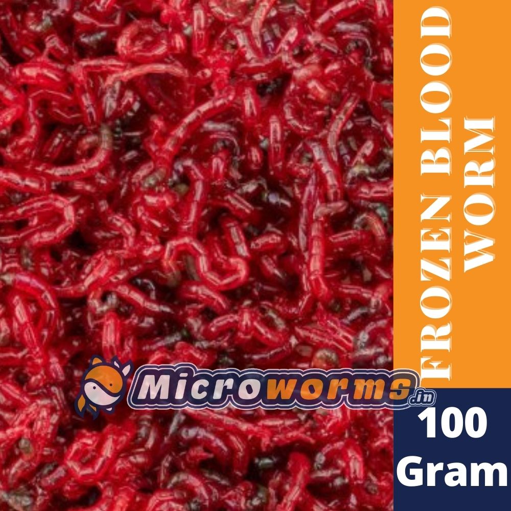 Frozen blood worm 100g -MOQ 5 pack
