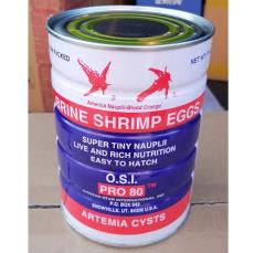 OSI Yellow Ring | OSI Pro 80 | Brine Shrimp Eggs | Artemia Cysts