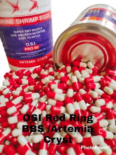 Artemia / BBS Capsules - OSI Red Ring (pack of 50 Capsules)
